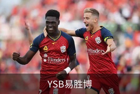 关于YSB易胜博